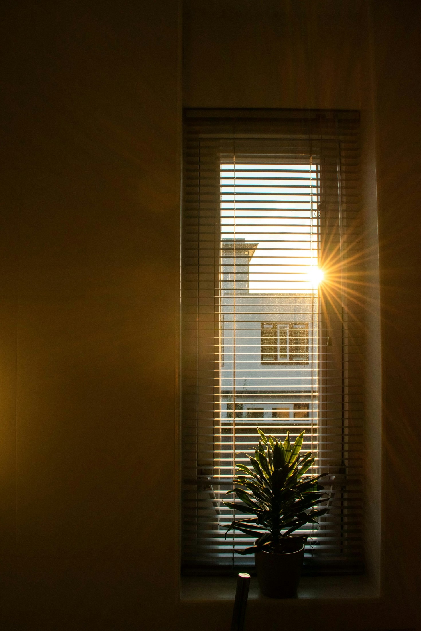 Finding Clarity In The Midst Of Uncertainty